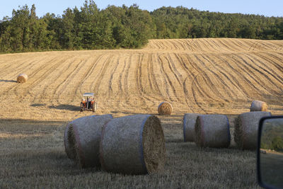 Old farmer on tractor work in agricultural field in summer day