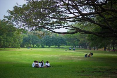 People in park