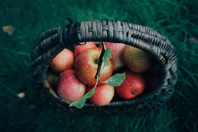 High angle view of apples in basket