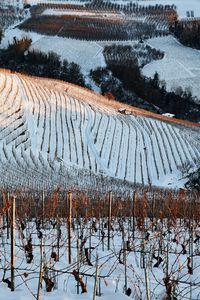 Scenic view of field during winter