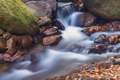 View of waterfall in forest