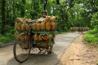 Rear view of man riding bicycle on street