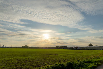 Scenic view of field against sky during sunset