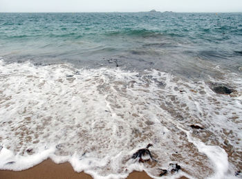 Scenic view of beach