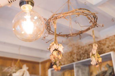 Close-up of dried flower