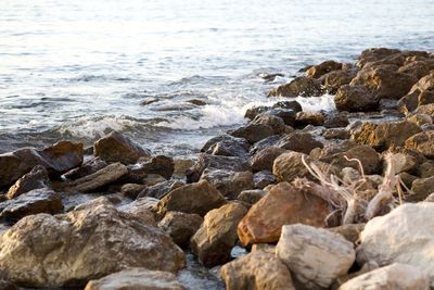 Rocks on beach