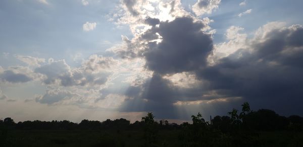 Low angle view of silhouette trees against sky