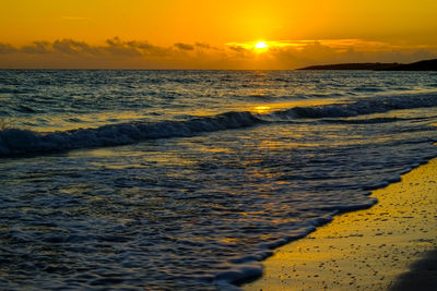 sea