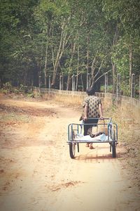 Rear view of man sitting in bus