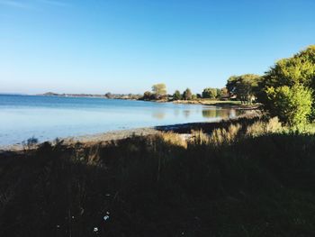 Scenic view of lake against clear sky