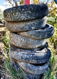 Close-up of hay on field