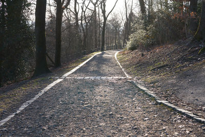 Empty road amidst trees in forest