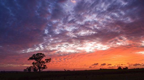 Scenic view of field against sky during sunset