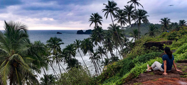 Scenic view of palm trees by sea against sky