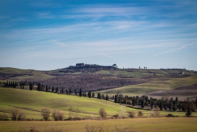 Scenic view of farm against sky