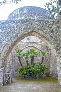 Potted plants and trees in front of building