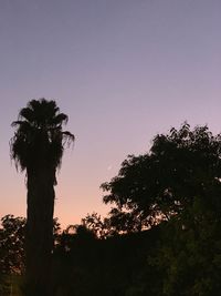 Low angle view of silhouette trees against sky during sunset