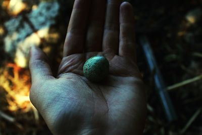 Close-up of human hand