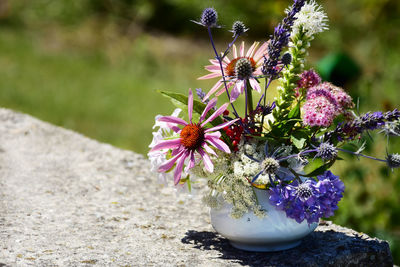 Close-up of purple flowering plant