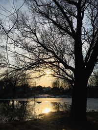 Silhouette bare tree by lake against sky during sunset