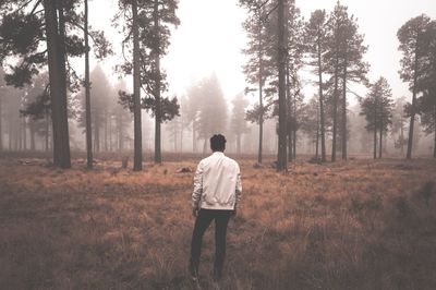 Rear view of man in forest