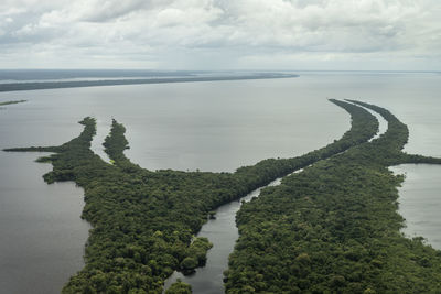 Beautiful aerial view to negro river green amazon island archipelago