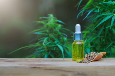 Close-up of glass bottle on table