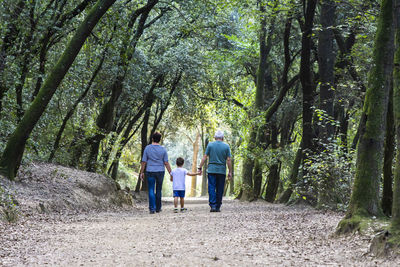 Rear view of family walking on dirt road in forest