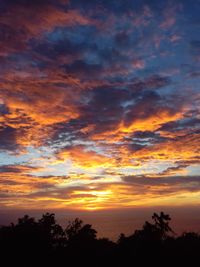 Low angle view of silhouette trees against dramatic sky