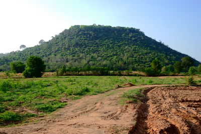 Scenic view of field against clear sky