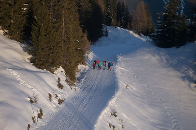 High angle view of people on snow covered landscape