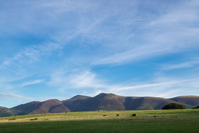 Scenic view of field and mountains against blue sky