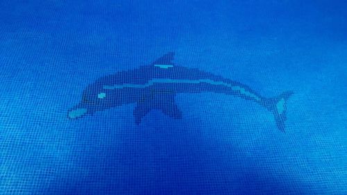 Close-up of blue water in swimming pool