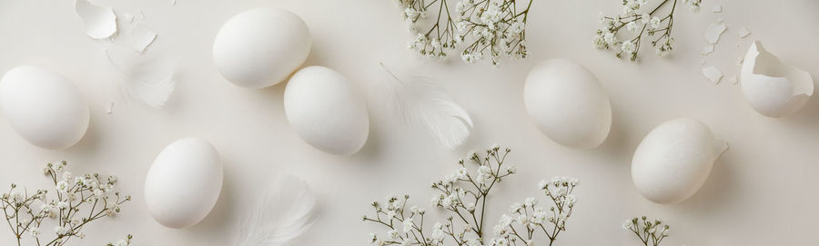 Directly above shot of flowers and eggs on white background