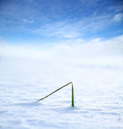 Close-up of snow on field against sky