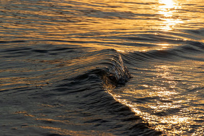 Close-up of water