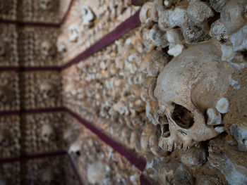 Close-up of human skull on wall