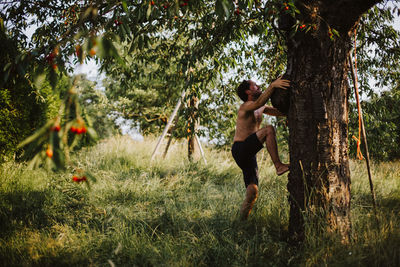 Full length of shirtless man climbing tree on field