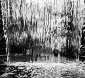 Close-up of grass in lake