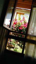 Close-up of flowers on window sill