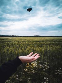 Person hand on field against sky