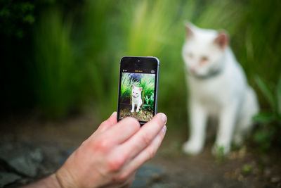 Hand holding smart phone