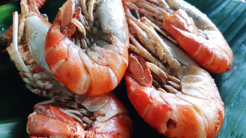 Close-up of raw seafood