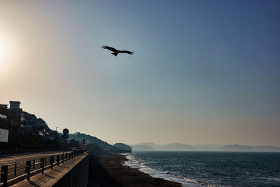 Seagull flying over sea against sky