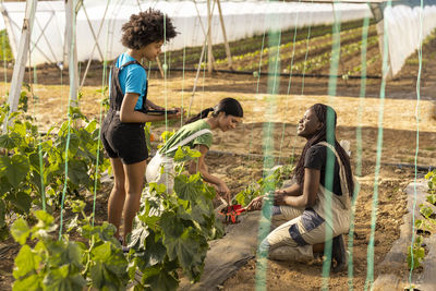 Girl talking to female farmers working at greenhouse
