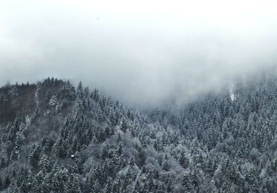 Scenic view of landscape against sky during foggy weather