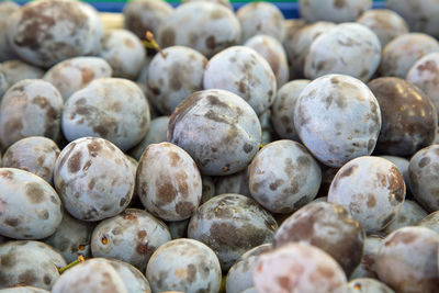 Full frame shot of onions for sale