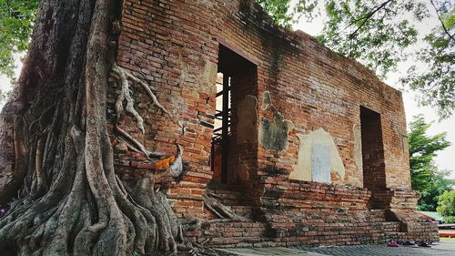 View of old ruin building