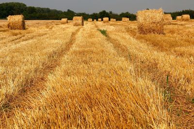 Hay bale on field against sky