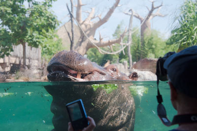 Reflection of man photographing in water